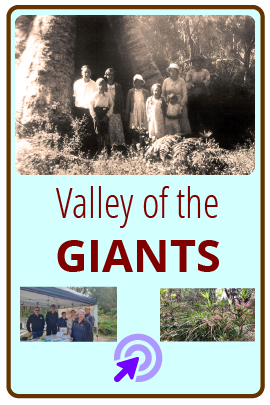 Card: Valley of the Giants